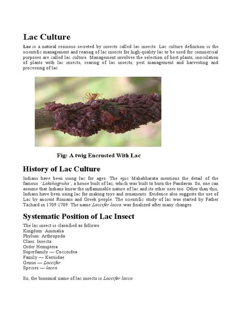 Lac Culture | PDF | Insects