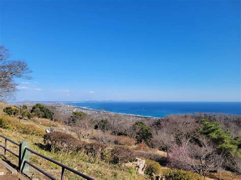 湘南平高麗山公園 観光サポーター通信 湘南ひらつかナビ平塚市観光協会 平塚観光情報サイト