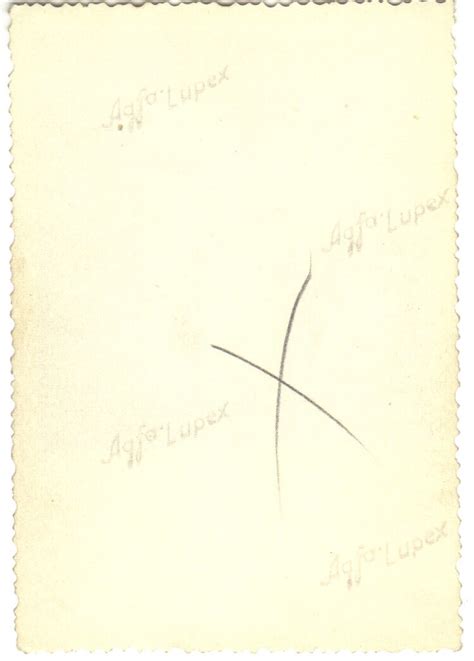 VINTAGE AMATEUR SNAPSHOT ALLEMAGNE NU HOME NUDE PHOTO PRIVAT AKTFOTO S EBay