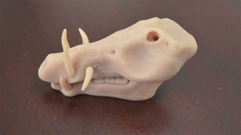 Polymer Clay Skull Super Sculpey Sculpt YouTube