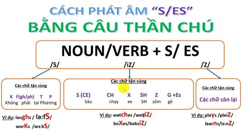 Các Quy Tắc Và Cách Phát âm Ed S Es Trong Tiếng Anh Chuẩn