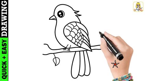 How To Draw A Bird Drawing Easy Step By Step Basic Drawing Lessons For