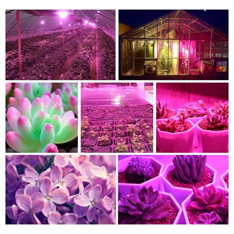 Luz Led De Espectro Completo Para Cultivo Hidrop N Grandado