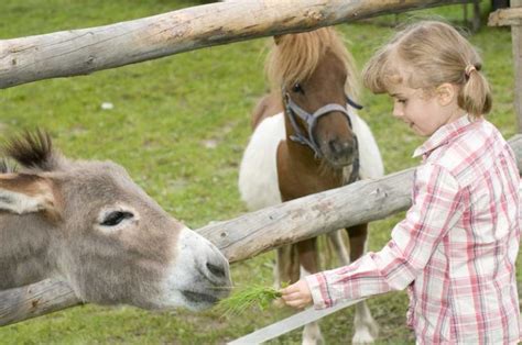 23 Best & Fun Things to Do in Swindon (Wiltshire, England) - The ...