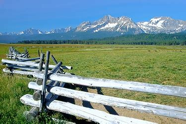 A Row Of Wooden Benches Sitting On Top Of A Lush Green Field Under A