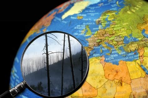 Burned Trees After Forest Fire Seen Through Magnifying Glass Held