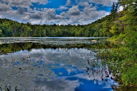 The Majestic Cary Lake Photograph by David Patterson - Pixels