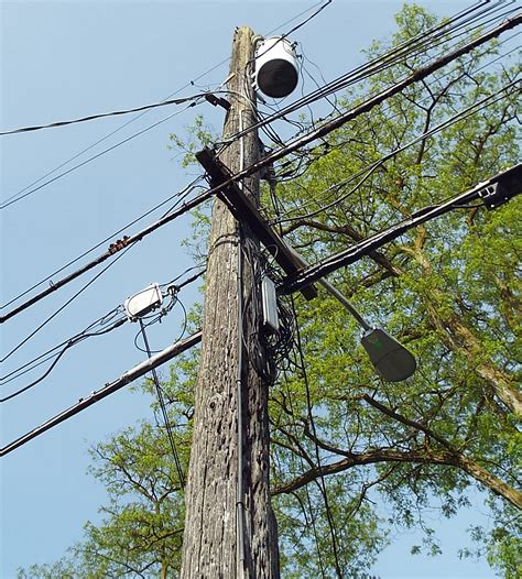 power pole ground wire  mallory sauer blog