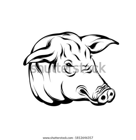 Vector Hand Drawn Illustration Pigs Head Stock Vector Royalty Free