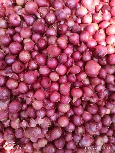 Maharashtra Nasik Red Onion A Grade Mm At Rs Kg In Pune Id