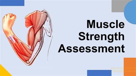 Intro Muscle Strength Assessment.pptx