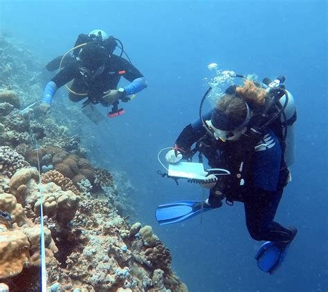 Coral Reefs — Our Eco Planet