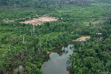 Terras Indígenas tiveram menos de 1 sua área de vegetação nativa