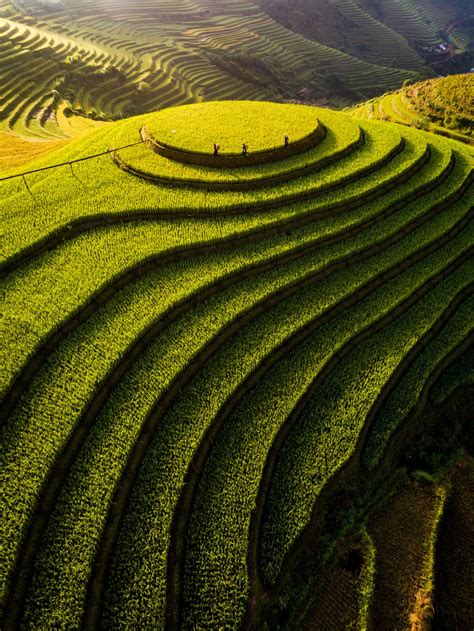 Mu Cang Chai rice terraces | Smithsonian Photo Contest | Smithsonian Magazine