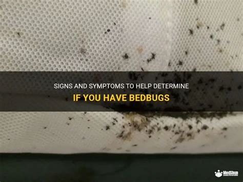 how to know if you have bedbugs