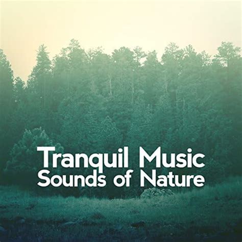 Tranquil Music Sounds Of Nature De Tranquil Music Sounds Of Nature Sur