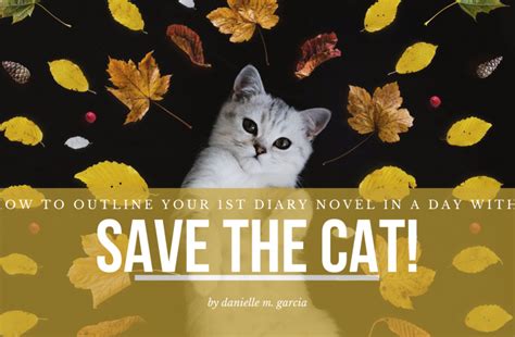 save the cat Archives - danielle m. garcia | the word witch