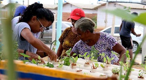 Sustentabilidade Programas De Geração De Renda Especiais