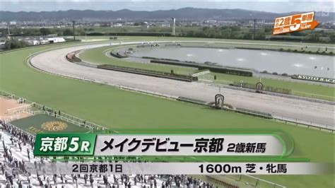 【2歳新馬プシプシーナ】メイクデビュー京都 2023107 京都第5r1600m 芝 Youtube