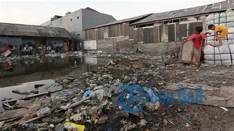 Pembukaan Ecopark Di Suwung Berpotensi Tingkatkan Kawasan Kumuh Capai