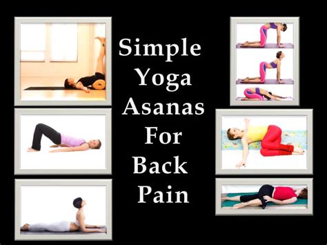 Yoga For Back Pain - Wellness Haven Yoga