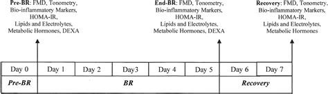 Short Term Physical Inactivity Impairs Vascular Function Journal Of