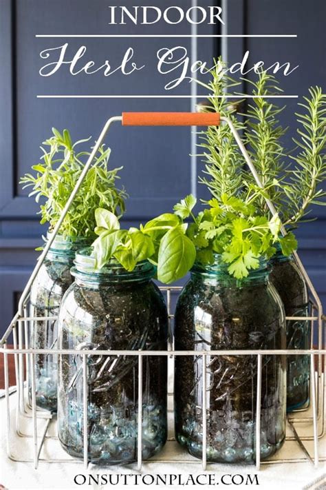 Indoor Herb Garden Mason Jars