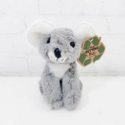 Koala Plush (6") :: Ashland Addison Florist Co.