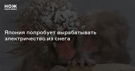 Япония попробует вырабатывать электричество из снега — Нож