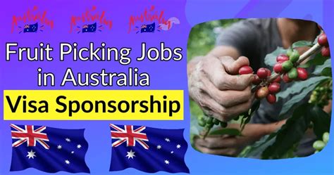 Fruit Picking Jobs In Australia With Visa Sponsorship