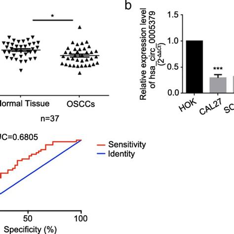 Hsa Circ 0005379 Is Downregulated In OSCC Tissue Specimens And Cell