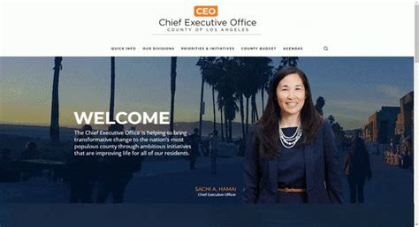 LA County CEO on Twitter: "Our new website is live! Find out how the ...