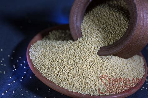 Amaranth Seeds Rajkira Ramdana 500g Namma Nellu Sempulam