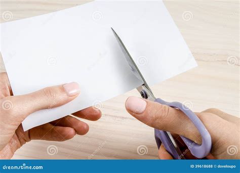 Female Hands Cutting Paper With Scissors Stock Photo Image Of Blank