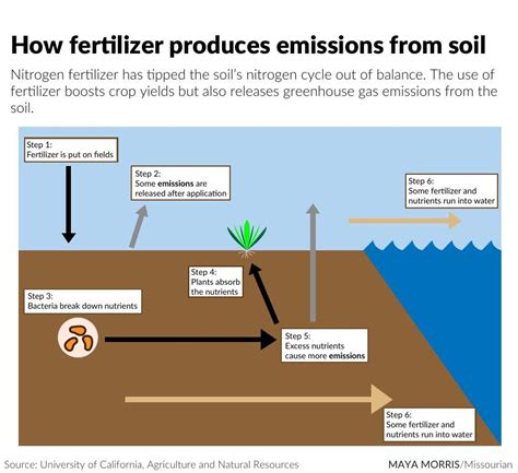 Nitrogen Fertilizer Releases Greenhouse Gases Throughout Its Life Cycle