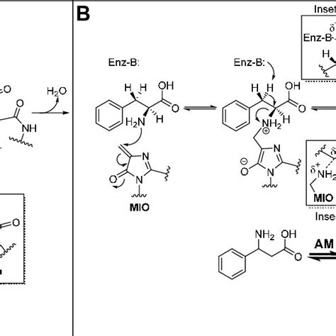 A Autocatalysis Of The 3 5 Dihydro 5 Methylidene 4H Imidazol 4 One