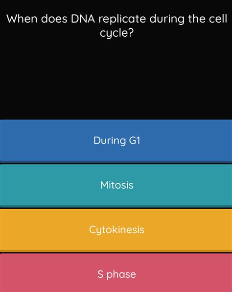 Solved When Does DNA Replicate During The Cell Cycle During G1