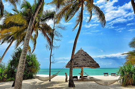 Pongwe Beach Zanzibar Beaches Zanzibar Beach Holiday