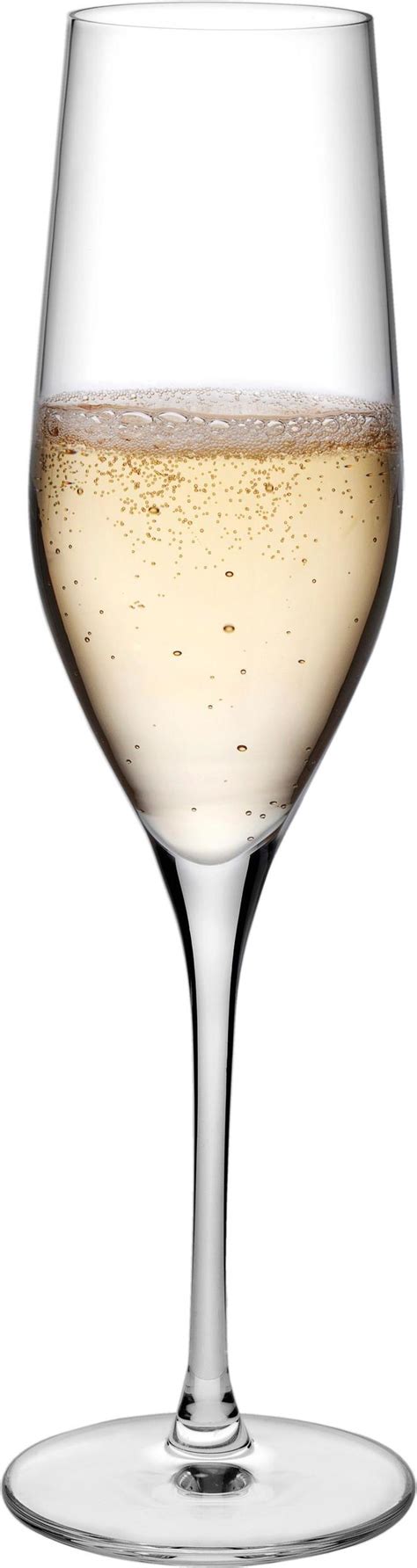 Vinifera Champagne Flutes Pcs Nude Formadore