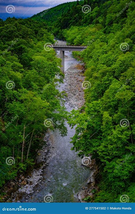 River in Biei Town (Hokkaido) Stock Photo - Image of river, sightseeing ...