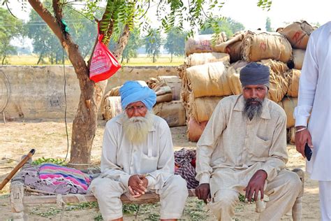 Punjab Culture Day – The Zeal and Zest of Punjabi Culture Day ...