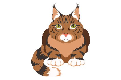 Maine Coon Icon Cartoon Cat Breed Symbol Afbeelding Door Onyxproj