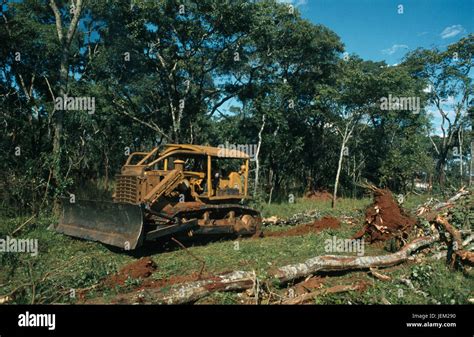 La Zambie, la déforestation, la forêt de compensation bulldozer pour la ...