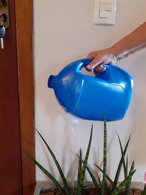 Cómo Hacer Regaderas para Plantas con Botellas en 10 pasos homify