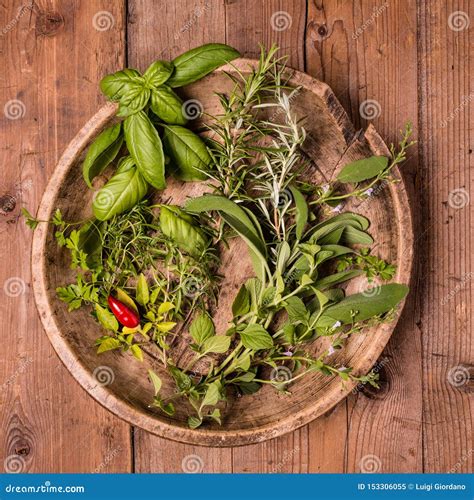 Variety Of Plants And Fresh Aromatic Herbs In The Kitchen Stock Image