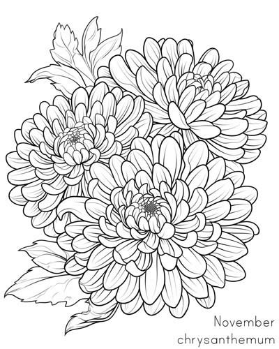 November Coloring Pages