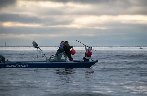 How Inuit youth are preserving the hunt and their identity | The Narwhal