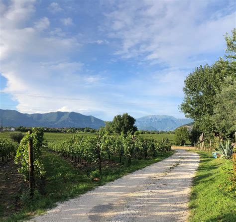 Festival Franciacorta In Cantina 2024 Aspettando Il Weekend Al Tramonto