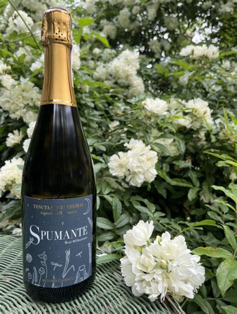 Spumante Metodo Classico Tenuta Santa Cecilia Croara Vini Biologici