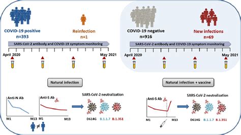 Evolution Of Antibody Responses Up To 13 Months After Sars Cov 2